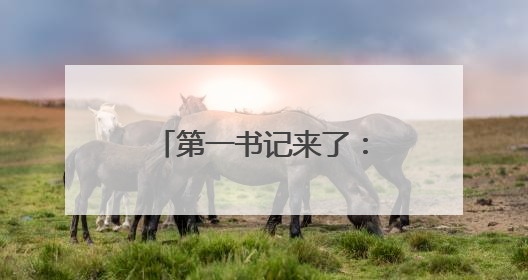第一书记来了：荒村“焕”新颜