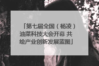 第七届全国（杨凌）油菜科技大会开幕 共绘产业创新发展蓝图