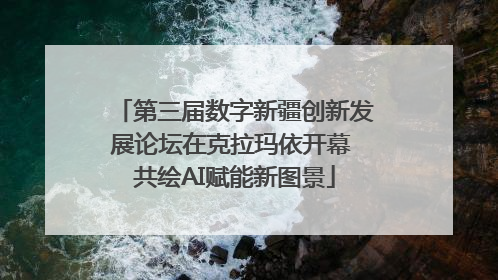 第三届数字新疆创新发展论坛在克拉玛依开幕 共绘AI赋能新图景