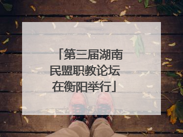 第三届湖南民盟职教论坛在衡阳举行