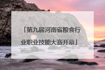第九届河南省粮食行业职业技能大赛开幕