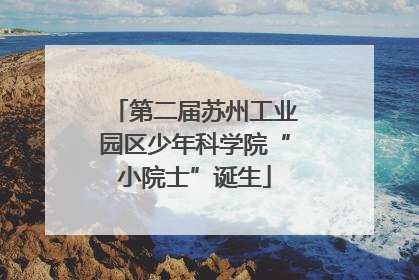 第二届苏州工业园区少年科学院“小院士”诞生