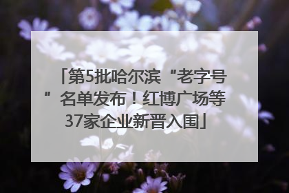 第5批哈尔滨“老字号”名单发布！红博广场等37家企业新晋入围