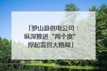 罗山县供电公司：纵深推进“两个度” 撑起监督大格局