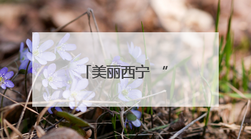 美丽西宁 “绿意”浓浓
