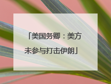 美国务卿：美方未参与打击伊朗