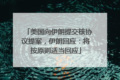 美国向伊朗提交核协议提案，伊朗回应：将按原则适当回应