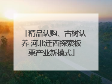 精品认购、古树认养 河北迁西探索板栗产业新模式