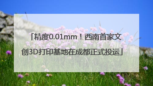 精度0.01mm！西南首家文创3D打印基地在成都正式投运
