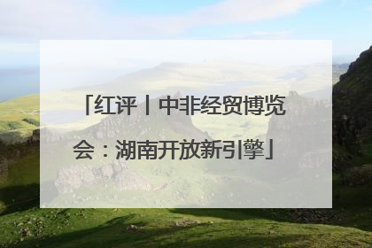 红评丨中非经贸博览会：湖南开放新引擎
