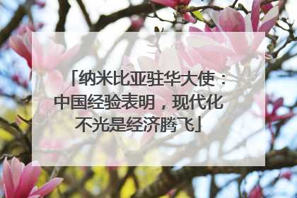 纳米比亚驻华大使：中国经验表明，现代化不光是经济腾飞