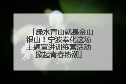 绿水青山就是金山银山！宁波奉化这场主题宣讲训练营活动掀起青春热潮