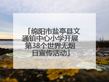 绵阳市盐亭县文通镇中心小学开展第38个世界无烟日宣传活动