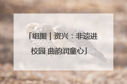 组图｜资兴：非遗进校园 曲韵润童心