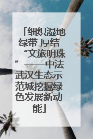 细织湿地绿带 厚结“文旅明珠”——中法武汉生态示范城挖掘绿色发展新动能