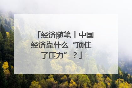 经济随笔丨中国经济靠什么“顶住了压力”？