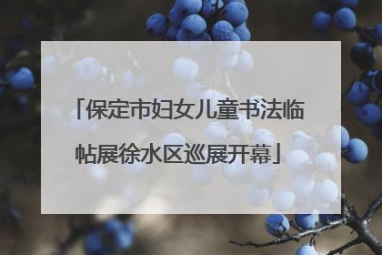 保定市妇女儿童书法临帖展徐水区巡展开幕