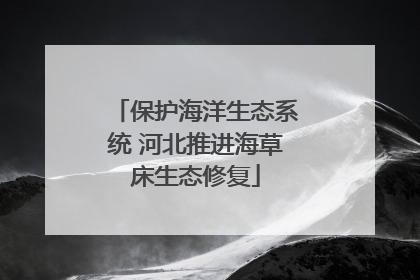保护海洋生态系统 河北推进海草床生态修复