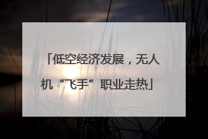 低空经济发展，无人机“飞手”职业走热