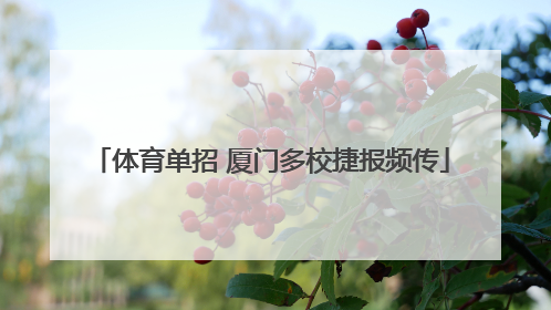 体育单招 厦门多校捷报频传