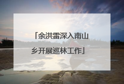 余洪雷深入南山乡开展巡林工作
