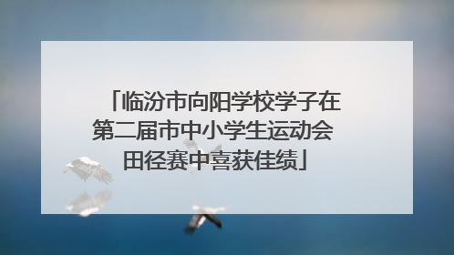 临汾市向阳学校学子在第二届市中小学生运动会田径赛中喜获佳绩