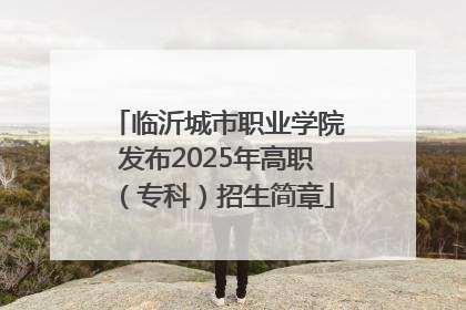 临沂城市职业学院发布2025年高职（专科）招生简章