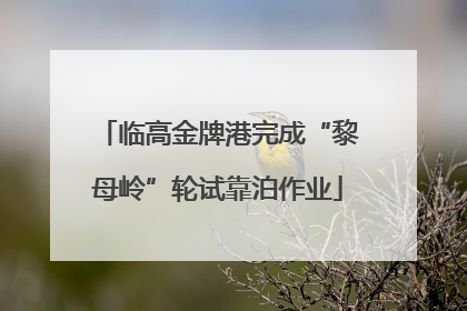 临高金牌港完成“黎母岭”轮试靠泊作业