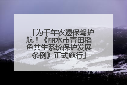 为千年农遗保驾护航！《丽水市青田稻鱼共生系统保护发展条例》正式施行