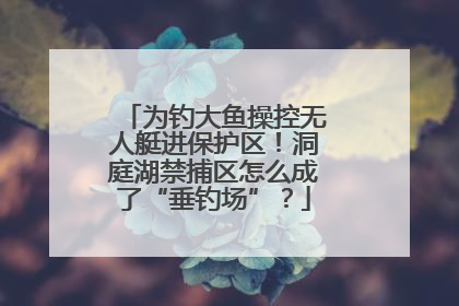 为钓大鱼操控无人艇进保护区！洞庭湖禁捕区怎么成了“垂钓场”？