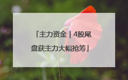 主力资金｜4股尾盘获主力大幅抢筹