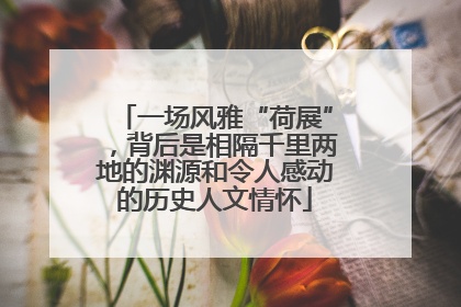 一场风雅“荷展”，背后是相隔千里两地的渊源和令人感动的历史人文情怀