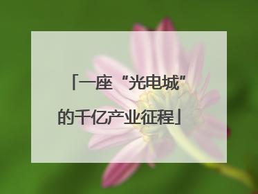 一座“光电城”的千亿产业征程