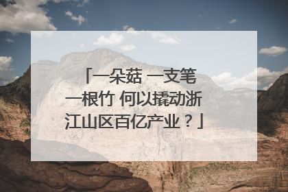 一朵菇 一支笔 一根竹 何以撬动浙江山区百亿产业？