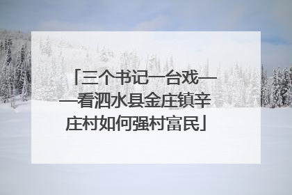三个书记一台戏——看泗水县金庄镇辛庄村如何强村富民