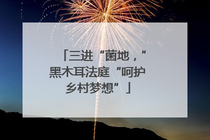 三进“菌地，”黑木耳法庭“呵护乡村梦想”