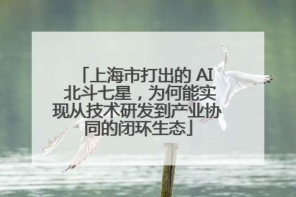 上海市打出的 AI 北斗七星，为何能实现从技术研发到产业协同的闭环生态
