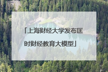 上海财经大学发布匡时财经教育大模型