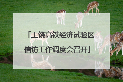 上饶高铁经济试验区信访工作调度会召开