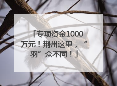 专项资金1000万元！荆州这里，“羽”众不同！