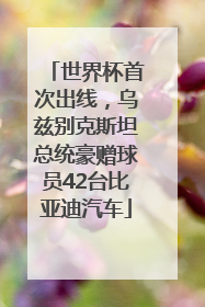世界杯首次出线，乌兹别克斯坦总统豪赠球员42台比亚迪汽车