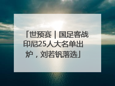 世预赛｜国足客战印尼25人大名单出炉，刘若钒落选