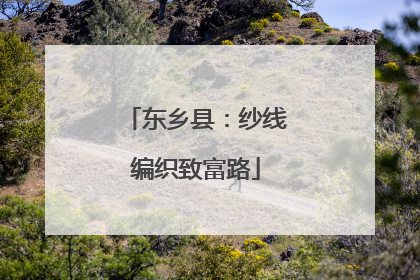 东乡县：纱线编织致富路