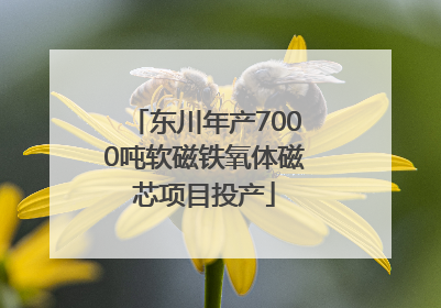 东川年产7000吨软磁铁氧体磁芯项目投产