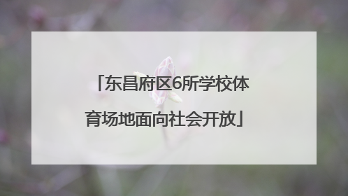 东昌府区6所学校体育场地面向社会开放