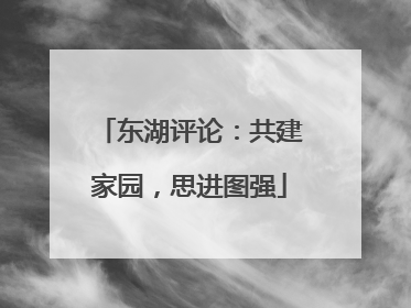 东湖评论：共建家园，思进图强