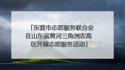 东营市志愿服务联合会在山东省黄河三角洲农高区开展志愿服务活动