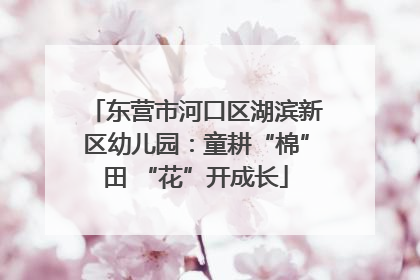 东营市河口区湖滨新区幼儿园：童耕“棉”田 “花”开成长