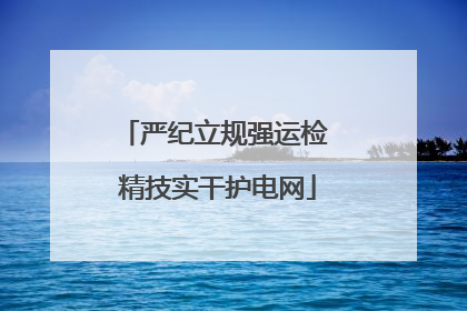 严纪立规强运检 精技实干护电网