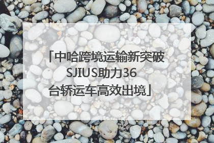 中哈跨境运输新突破 SJIUS助力36台轿运车高效出境